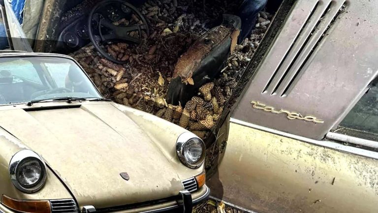 Një Porsche 911 Targa e veçantë është gjetur në Idaho – ishte braktisur për më shumë se tri dekada